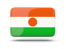 Niger flag