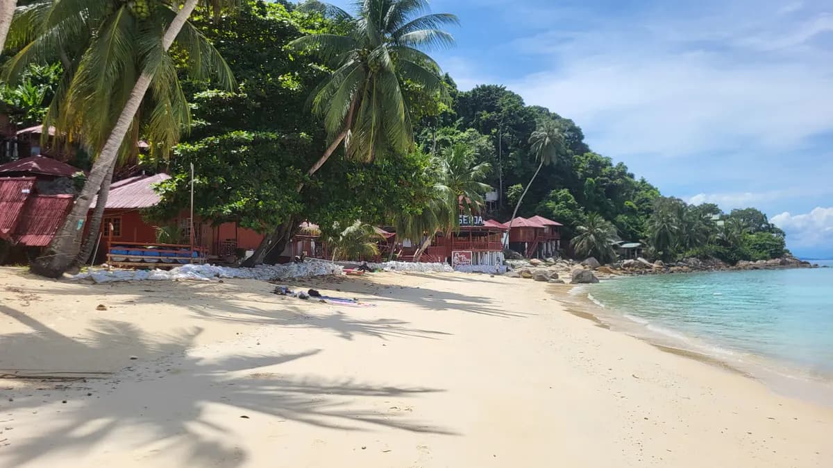 Palm trees and wooden chalets lining a quiet white-sand beach on Perhentian Kecil, with clear shallow water and a forested headland