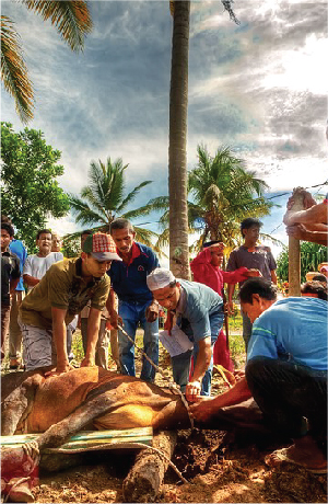 festival hari raya haji