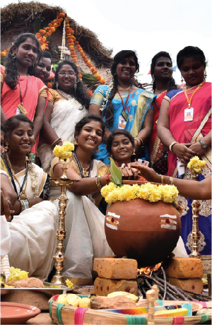 festival pongal